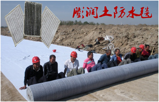 鈉基荔枝黄色网站進入工地的技術規程體現