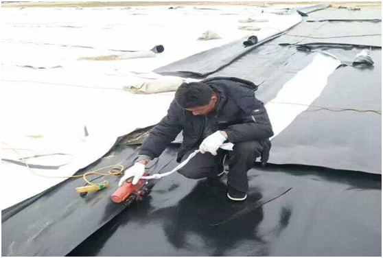 客戶想了解的荔枝视频黄下载膜施工整體體係全在這裏