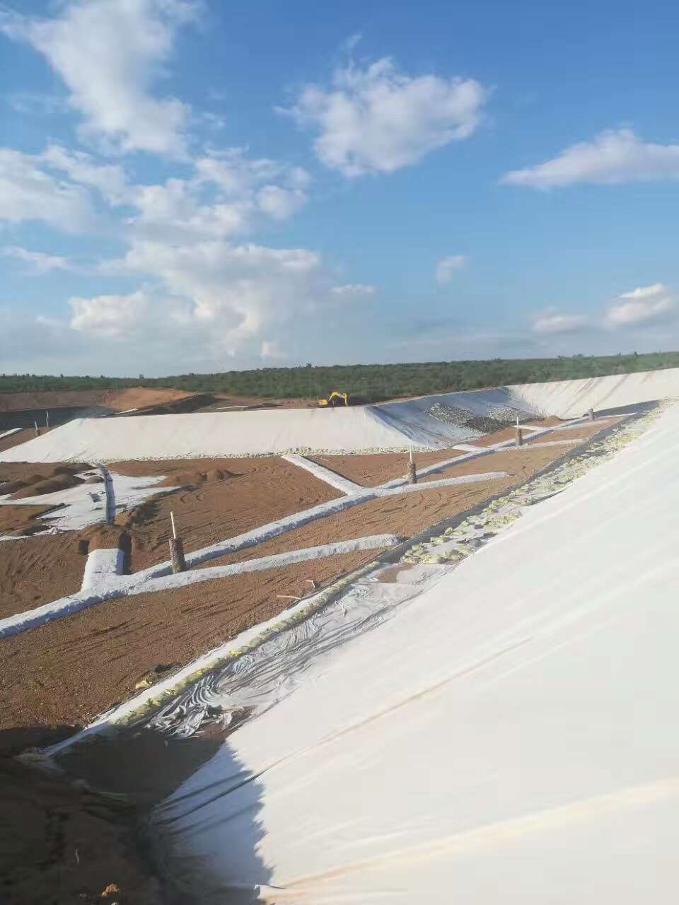 荔枝视频黄下载布形式伸縮縫在橋梁工程中的應用
