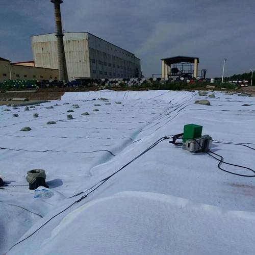 荔枝视频黄下载膜在總幹渠在渠首尾兩側布設防滲效果