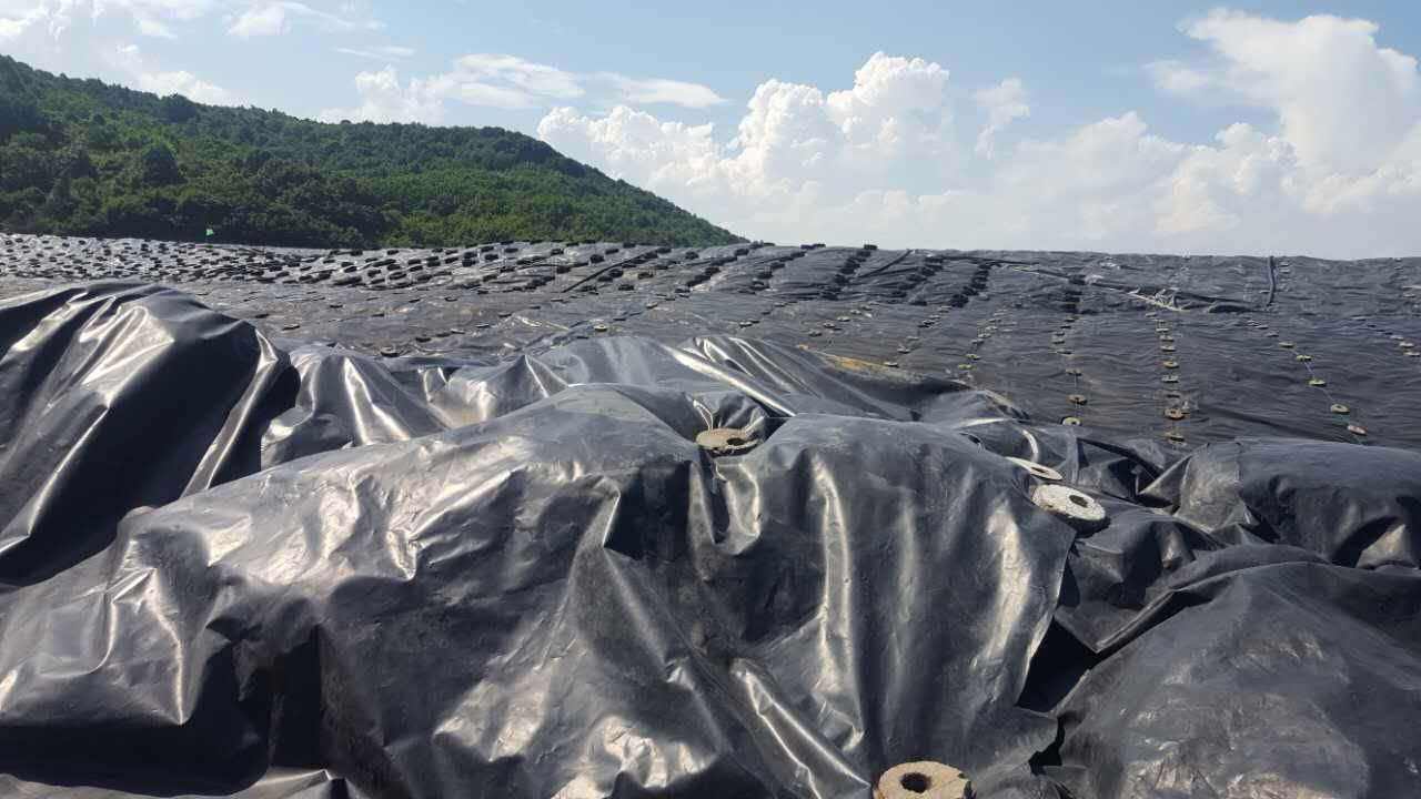 填埋法更能反映HDPE荔枝视频黄下载膜耐久性指標