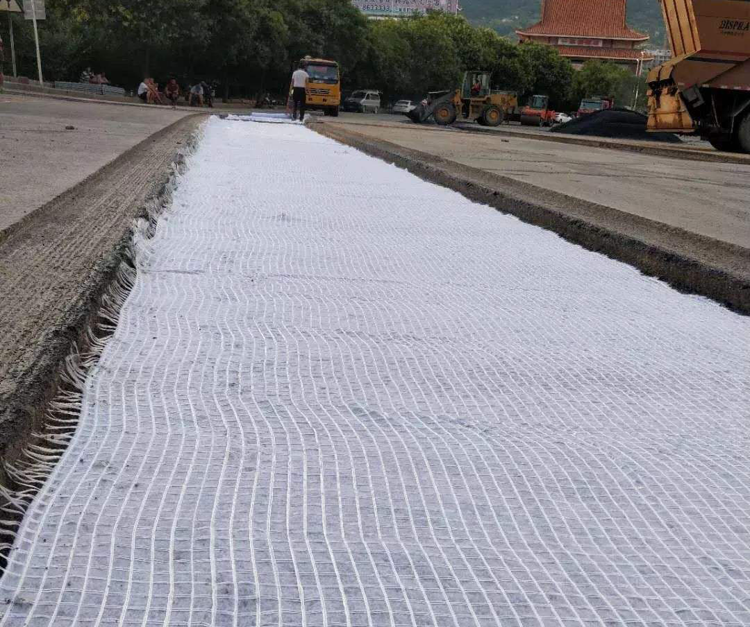 采用荔枝视频黄下载布加筋處理堤防成功案例