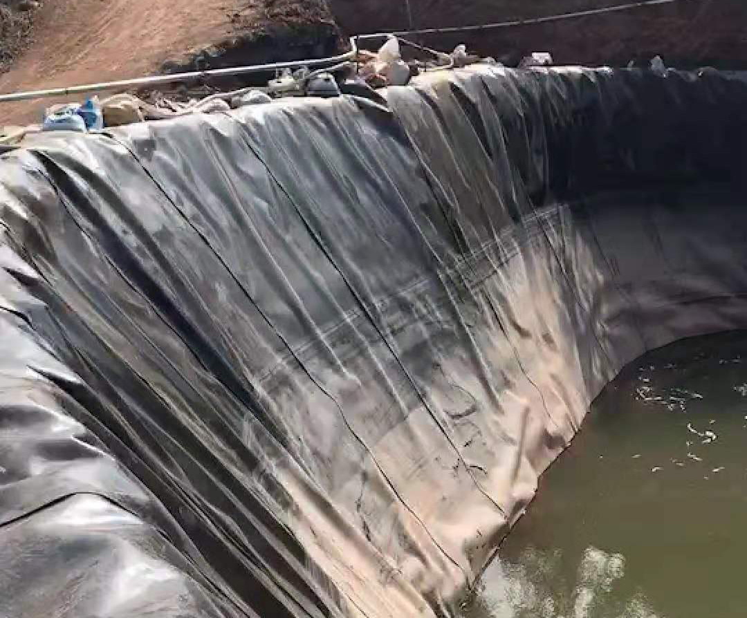荔枝视频黄下载膜損傷程度的直接影響是透水孔的數目的變化