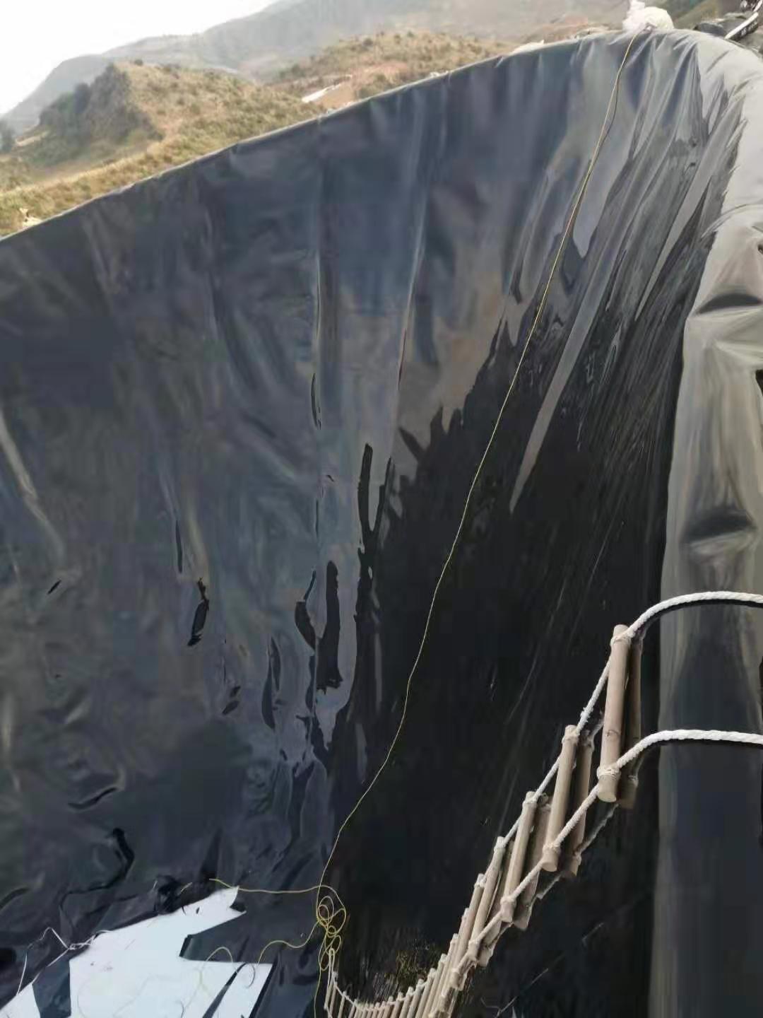 PE荔枝视频黄下载膜現場快速技術的開發