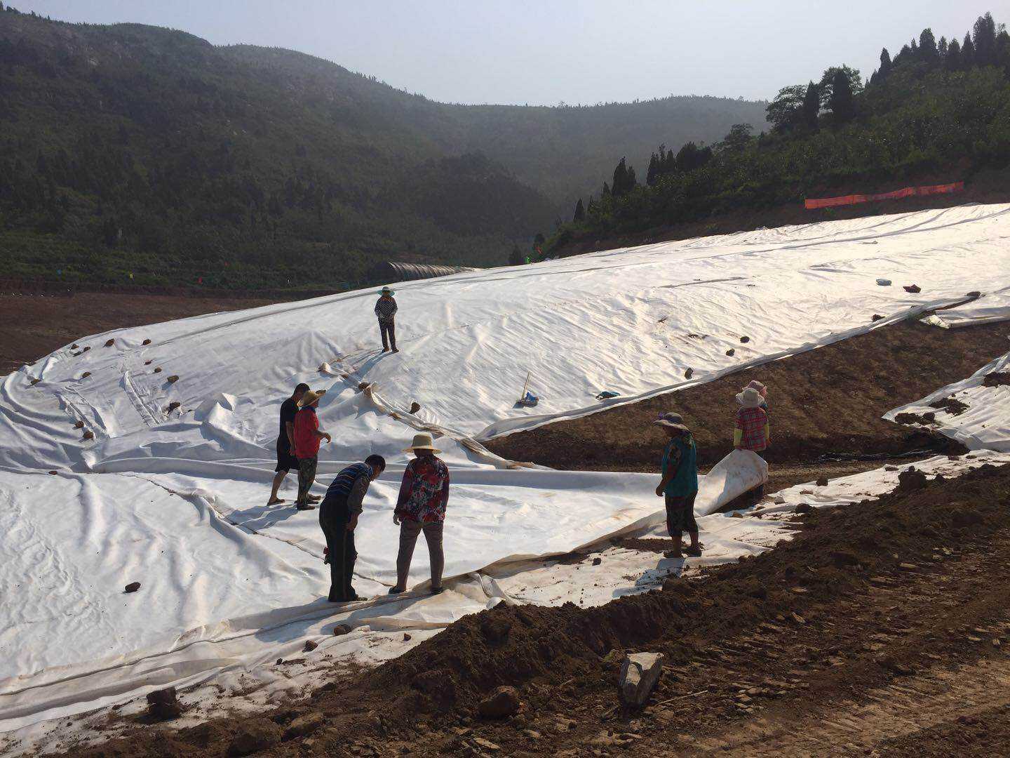 道路采用荔枝视频黄下载布對加筋的主要目的