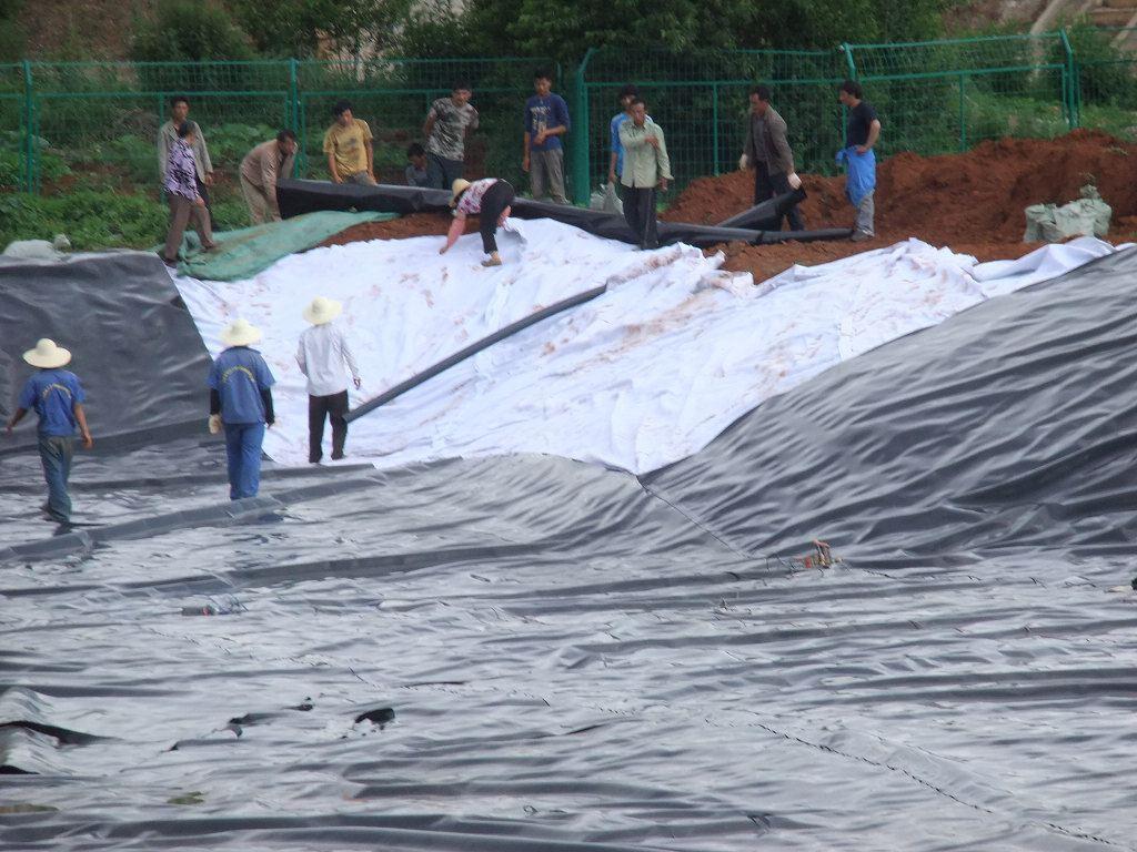 高密聚乙烯(hdpe)荔枝视频黄下载膜在填埋複合防滲層中的應用