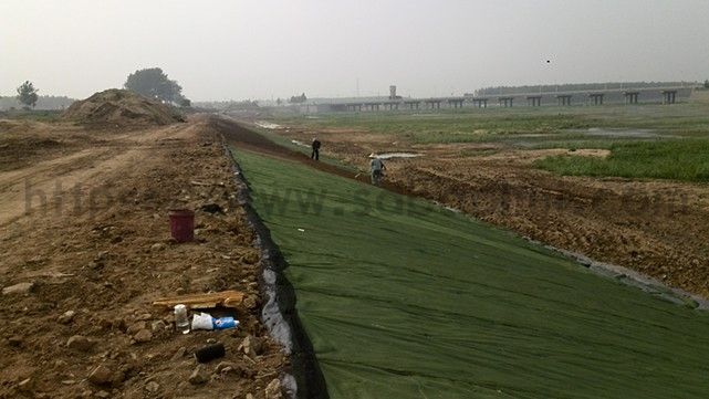 你知道城市綠化的草坪是如何一天內生長的嗎？