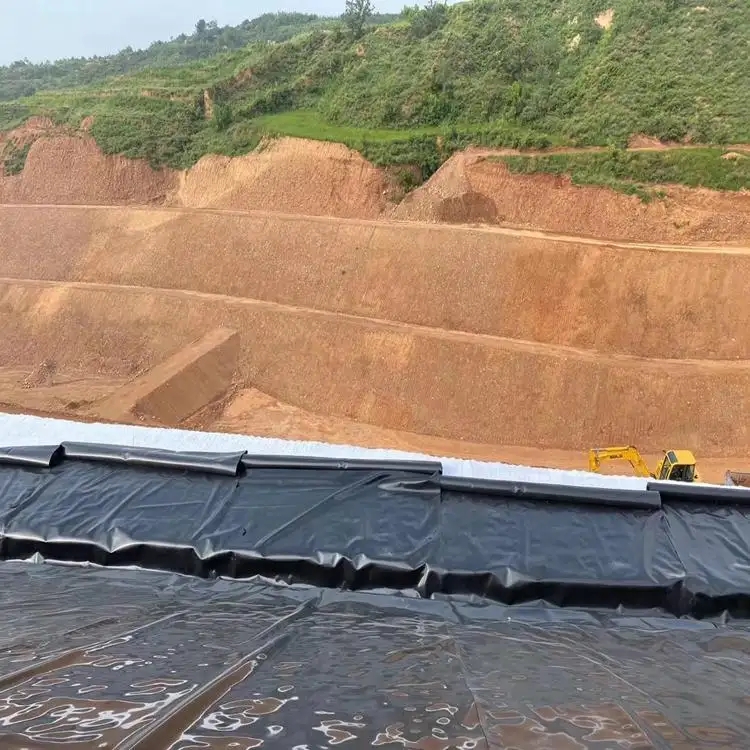 荔枝视频黄下载膜+壓實防滲黏土的複合襯墊係統小約1個數量級