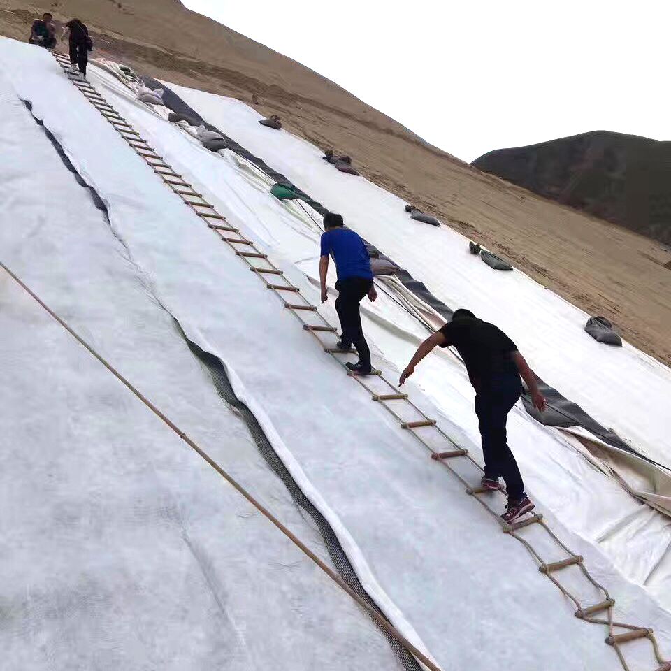荔枝黄色网站實際應用範圍比較廣泛