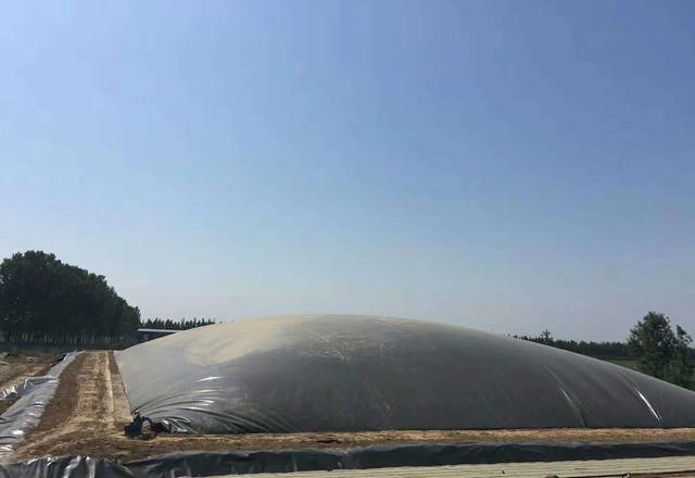 規格0.6mm荔枝视频黄下载膜鋪設需要注意的細節問題