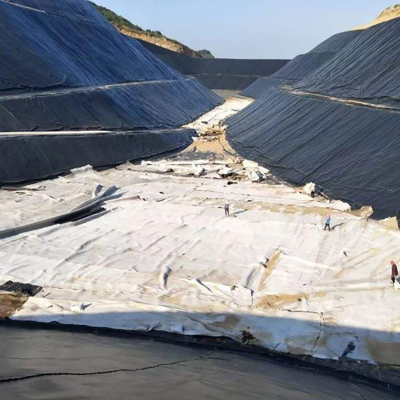 填埋場垃圾特性的研究及邊坡荔枝视频黄下载膜內力的分析具有重要意義