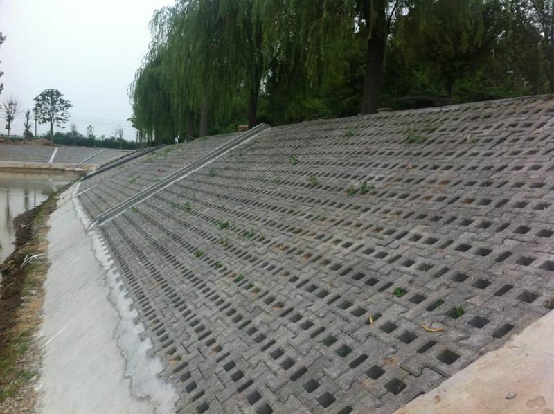 3種常見的坡式護岸技術分別是什麽類型？