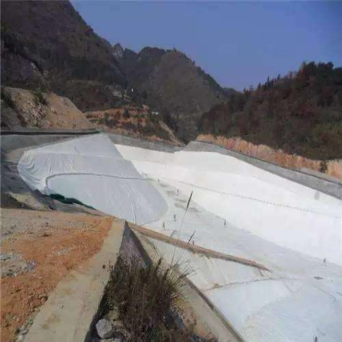 魚道斷麵荔枝视频黄下载膜的設計標準與應用