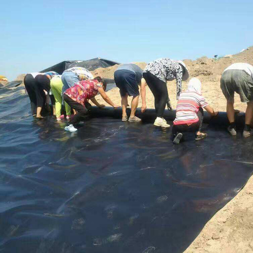 結合場地周邊情況以及圍堰工程使用要求，圍堰等級是多少